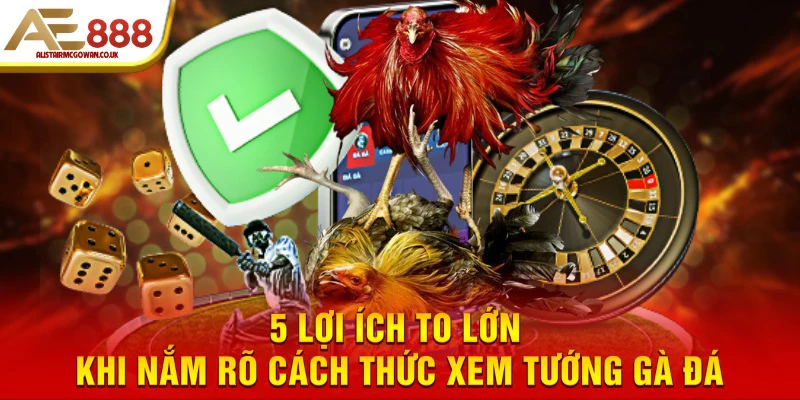 Các Loại Vảy Gà Chọi Nào Cho Thấy Đòn Đá Mạnh Và Hiểm?