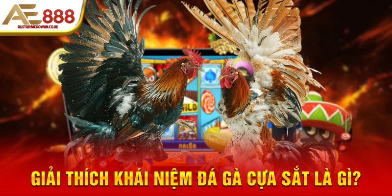 Đá Gà Cựa Sắt Là Gì?