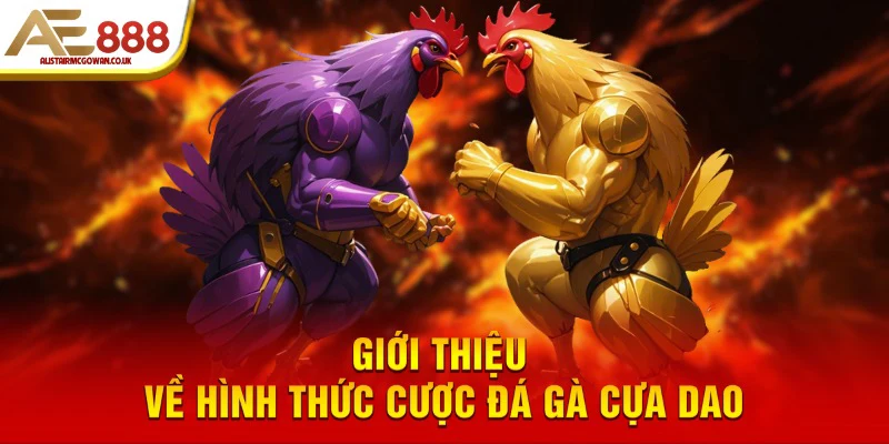 Kinh Nghiệm Đặt Kèo Đá Gà Cựa Dao Hay Nhất: Từ Mẹo Chọn Kèo Đến Chiến Thuật Giành Chiến Thắng 4 Đặt Kèo Đá Gà Cựa Dao Là Gì và Hoạt Động Như Thế Nào?