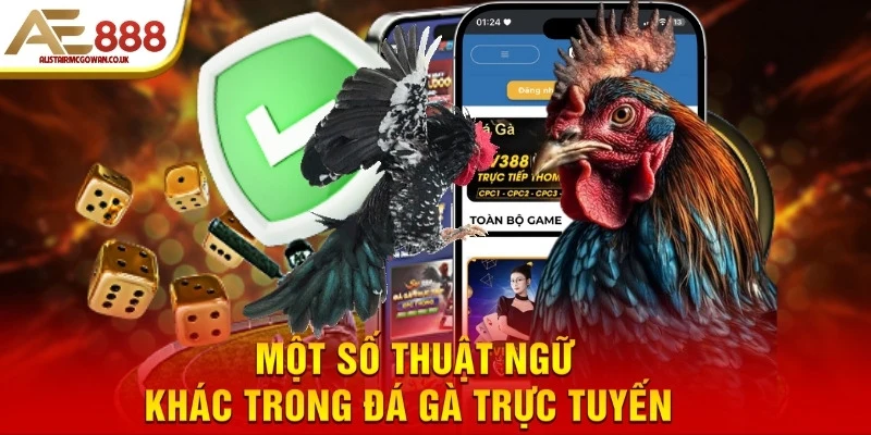 Các Thuật Ngữ Đá Gà Trực Tuyến Dành Cho Người Đặt Cược