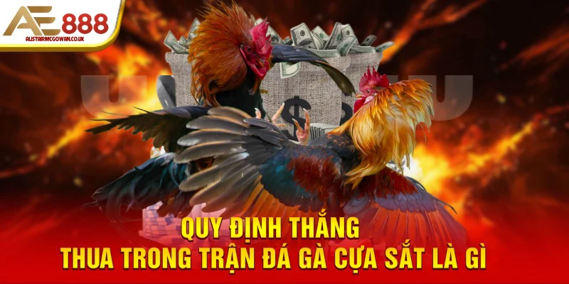 Đá Gà Cựa Sắt Khác Gì So Với Đá Gà Đòn Truyền Thống?