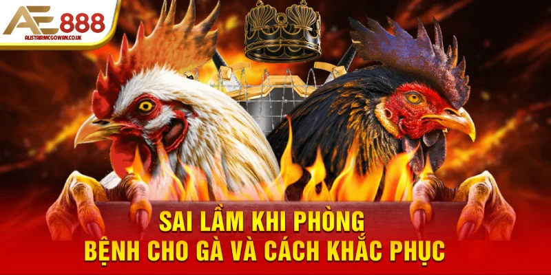 Phòng bệnh cho gà đá chuyên nghiệp: Những điều người nuôi lâu năm mới biết