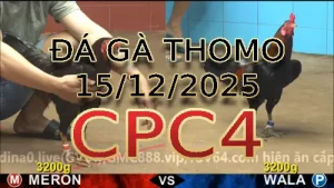 Video phát lại đá gà trực tiếp CPC4 ngày 15122025