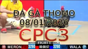 Video phát lại đá gà trực tiếp CPC3 ngày 08012026