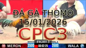 Video phát lại đá gà trực tiếp CPC3 ngày 15012026