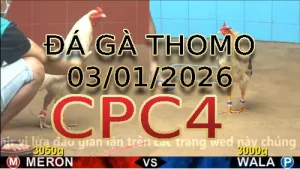 Video phát lại đá gà trực tiếp CPC4 ngày 03012026