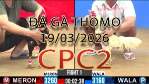 Video phát lại đá gà trực tiếp CPC2 ngày 19032026