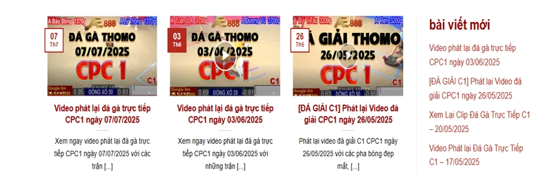 Video Phát Lại Đá Gà CPC1, C1, Thomo Hôm Nay Là Gì?
