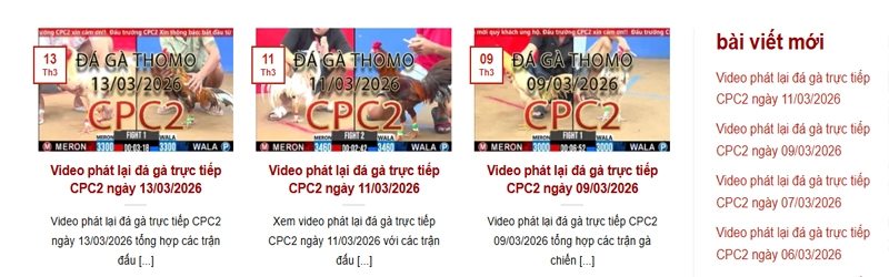 Video Phát Lại Đá Gà CPC2 Hôm Nay Có Những Trận Nào?
