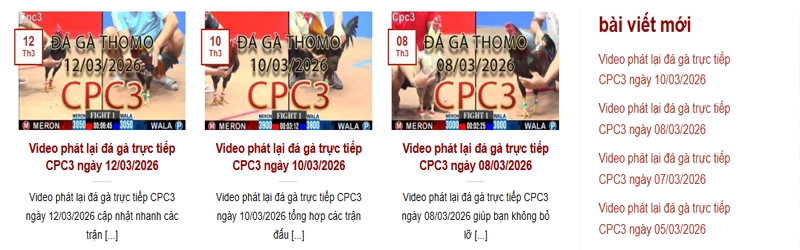 Phát Lại CPC3 Là Gì? Tổng Hợp Video Đá Gà Bồ C3 Thomo Hôm Nay