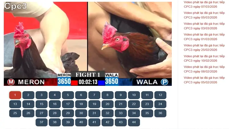 Cách Tìm Và Xem Lại Video Đá Gà Bồ C3 Theo Ngày Cụ Thể