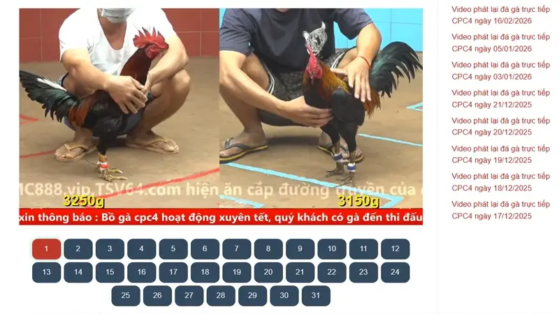 Video Phát Lại CPC4 Có Thực Sự Miễn Phí Không?