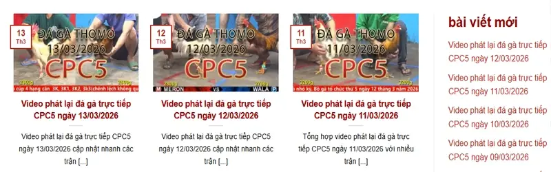 Video phát lại đá gà CPC5 Thomo là gì?