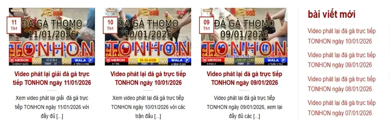 Video phát lại bồ gà Tonhon là gì?