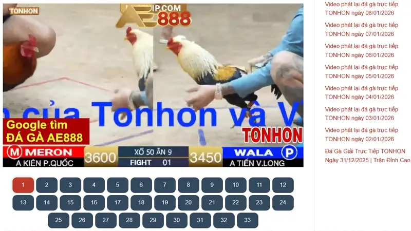 Hướng dẫn xem phát lại Tonhon trên máy tính và TV