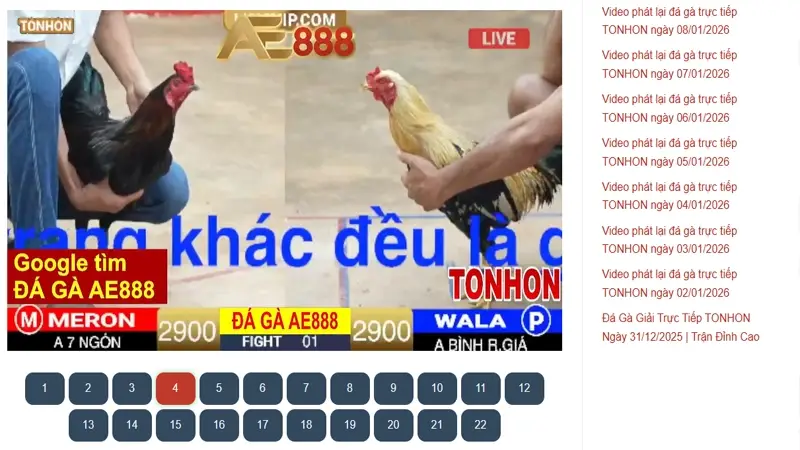 Nên xem phát lại đá gà Tonhon hay các bồ CPC khác nếu mới bắt đầu?