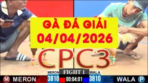 [Gà Đá Giải] Video phát lại đá gà trực tiếp CPC3 ngày 04042026