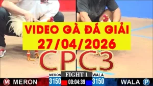 [Gà Đá Giải] Video phát lại đá gà trực tiếp CPC3 ngày 27042026
