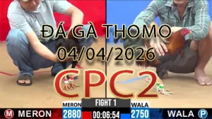 Video phát lại đá gà trực tiếp CPC2 ngày 04042026