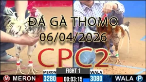 Video phát lại đá gà trực tiếp CPC2 ngày 06042026