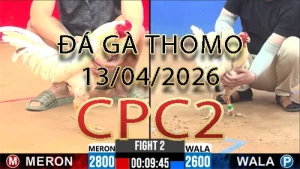 Video phát lại đá gà trực tiếp CPC2 ngày 13042026