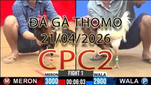 Video phát lại đá gà trực tiếp CPC2 ngày 21042026