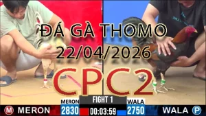 Video phát lại đá gà trực tiếp CPC2 ngày 22042026