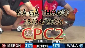 Video phát lại đá gà trực tiếp CPC2 ngày 25042026
