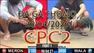 Video phát lại đá gà trực tiếp CPC2 ngày 26042026
