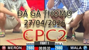 Video phát lại đá gà trực tiếp CPC2 ngày 27042026