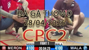 Video phát lại đá gà trực tiếp CPC2 ngày 28042026