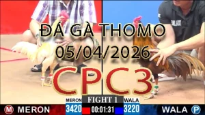 Video phát lại đá gà trực tiếp CPC3 ngày 05042026