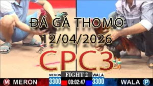Video phát lại đá gà trực tiếp CPC3 ngày 12042026