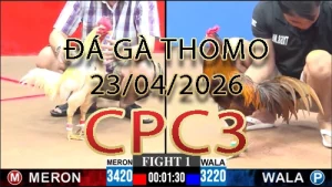 Video phát lại đá gà trực tiếp CPC3 ngày 23042026