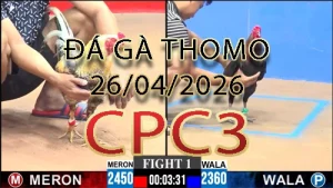 Video phát lại đá gà trực tiếp CPC3 ngày 26042026