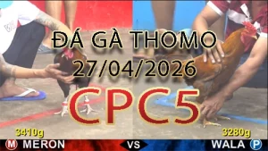 Video phát lại đá gà trực tiếp CPC5 ngày 27042026