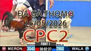 Video phát lại đá gà trực tiếp CPC2 ngày 16052026