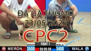 Video phát lại đá gà trực tiếp CPC2 ngày 23052026
