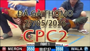Video phát lại đá gà trực tiếp CPC2 ngày 27052026
