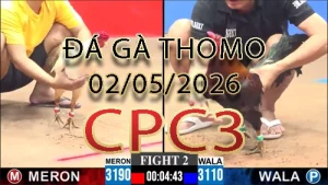 Video phát lại đá gà trực tiếp CPC3 ngày 02052026