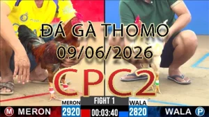 Video phát lại đá gà trực tiếp CPC2 ngày 09062026