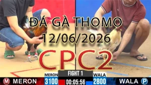 Video phát lại đá gà trực tiếp CPC2 ngày 12062026