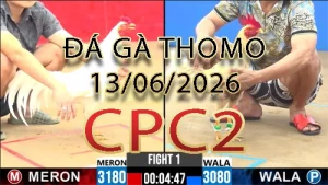 Video phát lại đá gà trực tiếp CPC2 ngày 13062026