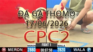 Video phát lại đá gà trực tiếp CPC2 ngày 17062026