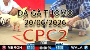 Video phát lại đá gà trực tiếp CPC2 ngày 20062026