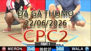 Video phát lại đá gà trực tiếp CPC2 ngày 22062026