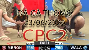 Video phát lại đá gà trực tiếp CPC2 ngày 23062026