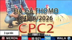 Video phát lại đá gà trực tiếp CPC2 ngày 24062026