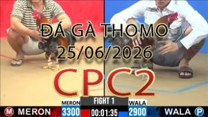 Video phát lại đá gà trực tiếp CPC2 ngày 25062026