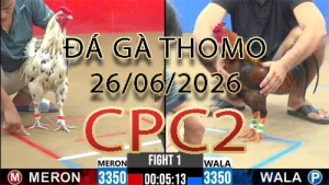 Video phát lại đá gà trực tiếp CPC2 ngày 26062026